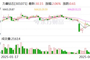 力量钻石：公司暂未与贝塔伏特新能源科技有限公司展开合作