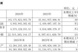 终于赚钱了！赛力斯集团财报发布