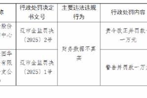 国华人寿辽阳中心支公司因财务数据不真实被罚11万元