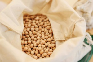 菜粕期货一个点的价值是多少？这一价值对投资策略有何影响？