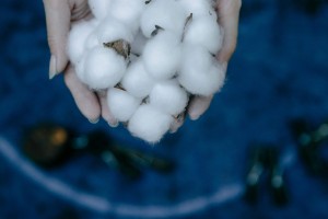 如何知晓内蒙甜菜的亩产量情况？这种亩产量情况对相关产业有何影响？