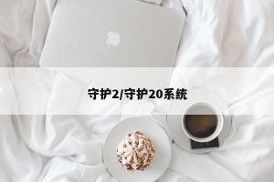 守护2/守护20系统
