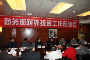 在有资金时的投资方向及考虑因素有哪些？这些因素如何影响投资决策？