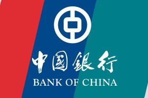 银行的账户余额查询的历史明细导出格式？