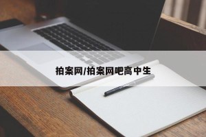 拍案网/拍案网吧高中生