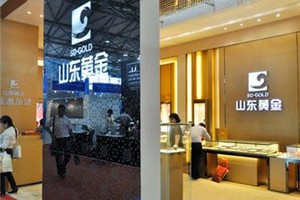 山东精粉的费用
如何确定？这种费用
确定方式有哪些影响因素？