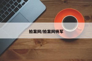 拍案网/拍案网杨军