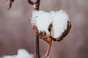 用纸旺季的定义及其对市场的影响是什么？这种影响对投资者有何启示？