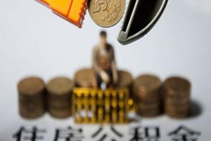 国有公积金查询是什么以及如何正确操作？这种操作方式有哪些要点？