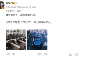 小米雷军的个人IP是一把“双刃剑”，其他企业家不学也罢！