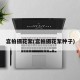 宫拍摄花絮(宫拍摄花絮种子)