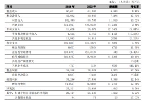 宁波银行：2024年利息净收入479.93亿元 同比增长17.32%