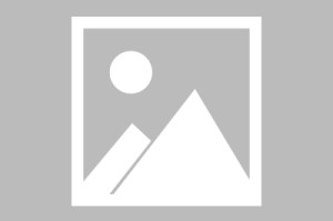 北交所上市公司迪尔化工登龙虎榜：当日换手率达到35.04%