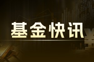 富国深证 100ETF：25 年 4 月 14 日上市