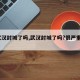 【武汉封城了吗,武汉封城了吗?很严重吗?】