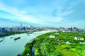浦东开发开放35周年 从中国“试验田” 到全球“创新场”