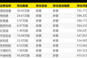 大曝光！次新基金，猛买这些股