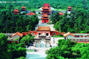 沈阳医保如何进行迁移操作？迁移过程中可能遇到哪些阻碍？